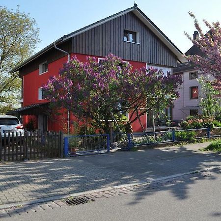 Punkrock Harbour Pension Bähr Karlsruhe Exteriör bild